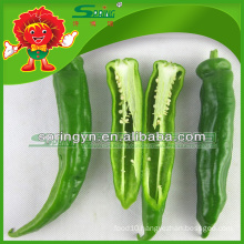 green and red fresh pepper Frozen transportation spicy red chilli